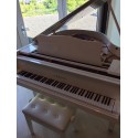 Yamaha - GC 1 WIT